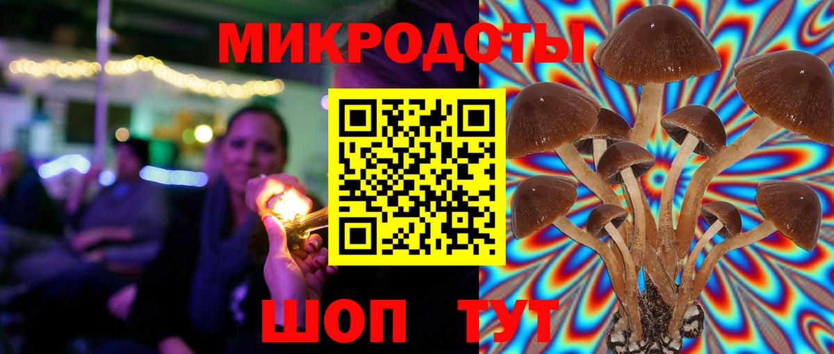 Псилоцибиновые грибы мицелий Семёнов